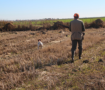 Partie de chasse